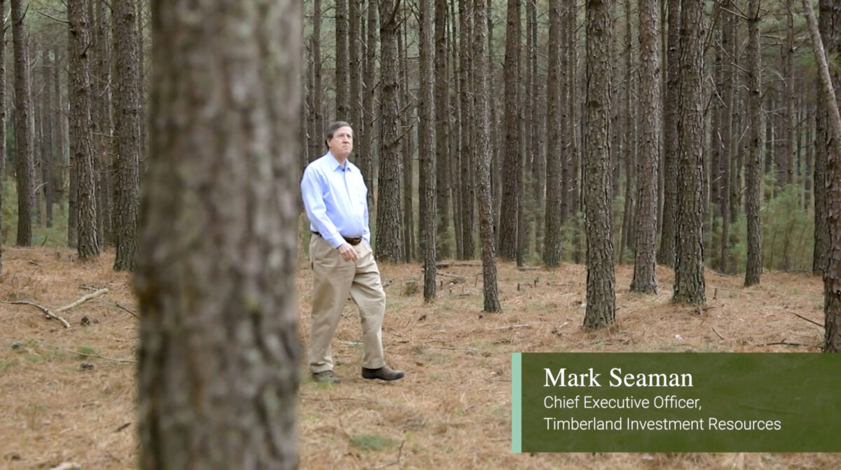 Capability Videos - Timberland Investment Resources Europe