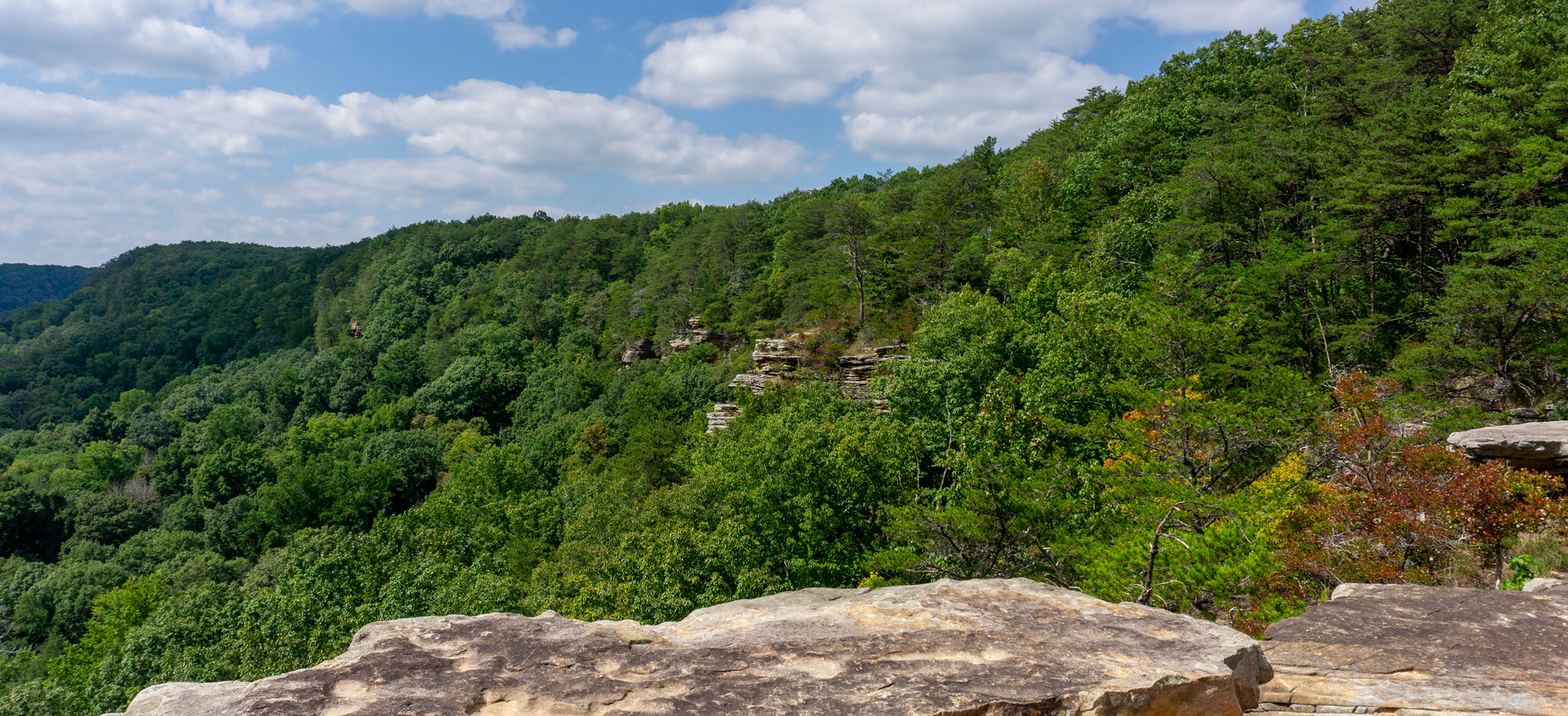 Savage Gulf State Park in the South Cumberland Mountains of Tennessee Photograph overlooking heavily forested mountainside in Savage Gulf State Park in the South Cumberland Mountains of Tennessee.