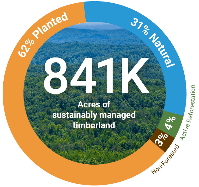 841K Acres of Sustainably Managed Timberland Pie chart showing TIR's 841K acres of sustainably managed timberland: 62% planted, 31% natural, 4% active reforestation and 3% non-forested.