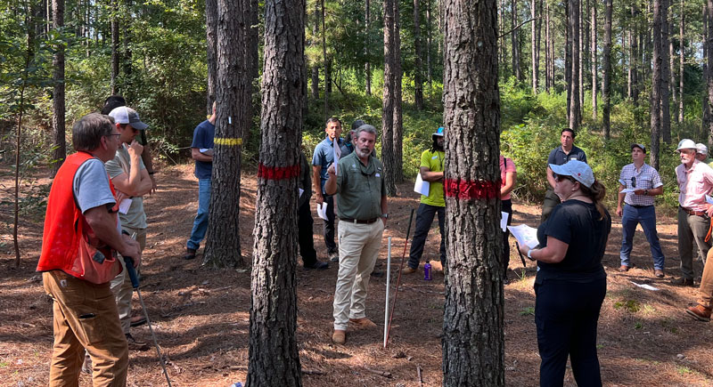 TIR Field Tour Group of TIR members on a field tour among pine trees.